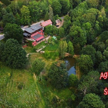 Agroturystyka Pod Swierkiem Srebrna Góra Екстериор снимка