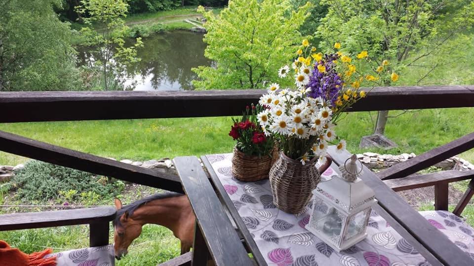 Agroturystyka Pod Swierkiem Srebrna Góra Екстериор снимка