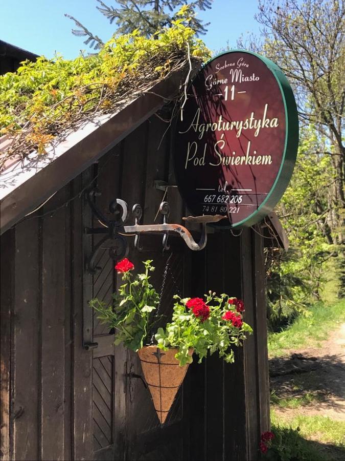 Agroturystyka Pod Swierkiem Srebrna Góra Екстериор снимка